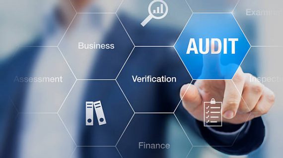 Servicii de contabilitate și audit - Audit